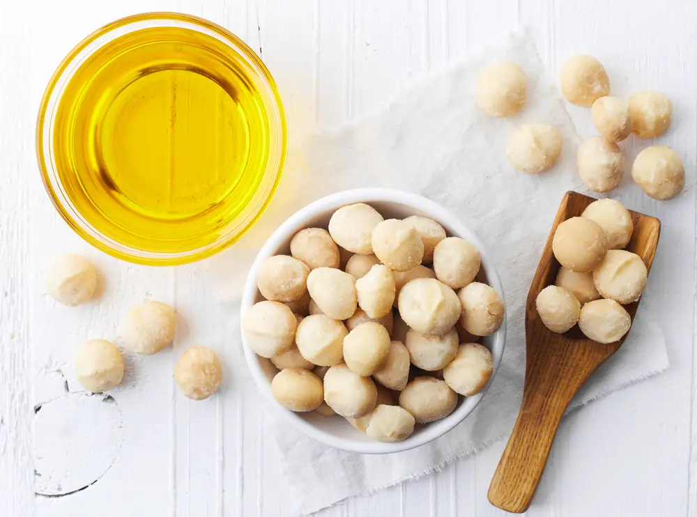 Cómo incorporar las nueces de macadamia en tu dieta 