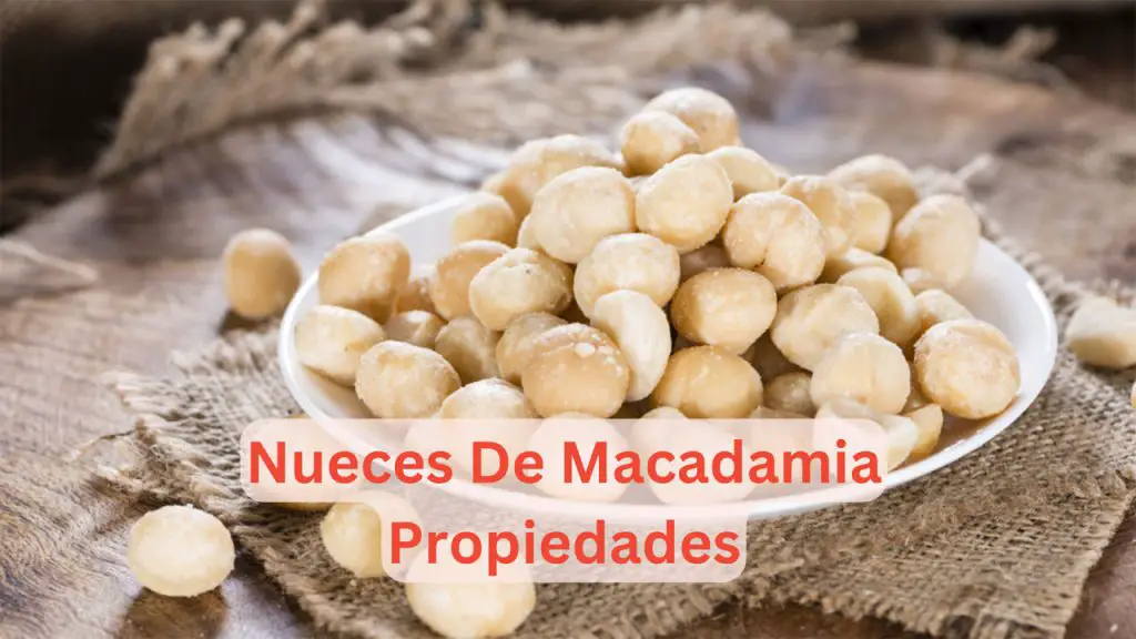 Nueces De Macadamia Propiedades