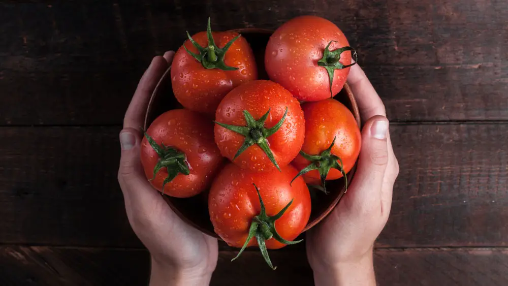 Otras formas de incorporar los tomates en tu dieta